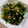 新米主婦なるる's cooksnap of when they made 【作り置き】大根葉の甘辛炒め.
