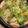 snj❛1152❜'s cooksnap of when they made ロールキャベツと白菜のコンソメスープ.