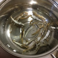 ☆こまっと☆'s cooksnap of when they made だしソムリエ直伝【煮干しだし】の取り方.