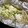 ともぷぅー's cooksnap of when they made ブリの白子とえのきだけのホイル焼き酒蒸し.