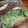 papikun's cooksnap of when they made こごみ（冷凍保存）.
