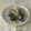 すこっとじょぷりん's cooksnap of when they made ちぢみほうれん草と大根のおひたし.