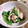 928るびすけ☆☆'s cooksnap of when they made ★春菊とささみのさっぱり和え★.