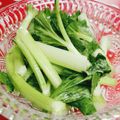 みっくママ's cooksnap of when they made セロリのあっさり浅漬け。.
