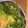 rui_and3's cooksnap of when they made 作り置き◆ブロッコリーの胡麻味噌マヨ.