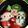 ❀akiko❀'s cooksnap of when they made 俵おむすびサンタさんクリスマスのお弁当♪.