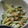 ヨシヨッシー's cooksnap of when they made 簡単きゅうりとツナのごまマヨ和え.