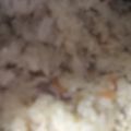 ma___111's cooksnap of when they made 鶏肉と蓮根の炊き込みご飯.