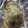 クックVXB8DD☆'s cooksnap of when they made 1枚で満足！3種の具材の特盛パンピザ！.