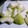 o☆shino's cooksnap of when they made 冬瓜の切り方（説明写真付き）.