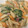 ellie21's cooksnap of when they made 旨味だしで♪ほうれん草の和風豆乳パスタ.