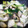 ERIZABETHM's cooksnap of when they made 牡蠣と青梗菜の中華炒め☆.