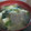 あゆたっくん's cooksnap of when they made 長ネギと蒟蒻の香ばし味噌汁.