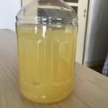 完熟パイナポ's cooksnap of when they made 柚子大量保存.