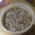 ayumi★hina's cooksnap of when they made ヨーグルティアで天然酵母液種作り。.