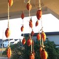 はとポ's cooksnap of when they made 干し柿の作り方.