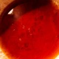 クックTHM5YF☆'s cooksnap of when they made アールグレイのブラックティー.