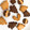 きこりカフェ's cooksnap of when they made 袋で簡単！さくさく！はちみつクッキー.