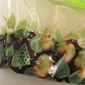 ｙｓｍ．Ｍｏｍ's cooksnap of when they made 簡単 美味しい♪ 紅茶豚.