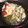 buos's cooksnap of when they made 話題入り感謝★牡蠣とエリンギのアヒージョ.