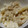 ヨシヨッシー's cooksnap of when they made ☆長芋の♪つな・オイマヨ和え☆.