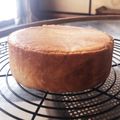 デール₍˄•༝•˄₎'s cooksnap of when they made 100点満点の12cmスポンジケーキ！.
