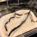 トドこ's cooksnap of when they made ほんのり☆バニラシュガー.
