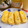 へい♡ゆー♡'s cooksnap of when they made マーマレード卵焼き～✨白だしで❣️.