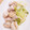 かほus's cooksnap of when they made 【白菜とろとろ♡】鶏肉と白菜の塩炒め.