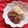 クッキー研究家's cooksnap of when they made カントリーマアム風やわらかココアクッキー.