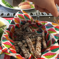 こうぶんママ's cooksnap of when they made 簡単☆ごぼうの唐揚げ.