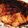 ぽけじん's cooksnap of when they made 絶品ジューシー塩麹グリルチキン.