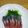 ふみこばあ's cooksnap of when they made いなだの捌き方 Sally流.