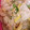 おまめ115's cooksnap of when they made 簡単！！白菜とツナのレンジ蒸し.