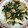 クック00N8WZ☆'s cooksnap of when they made 簡単！極旨！長芋とニラとツナ缶の炒め物.