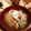中村ベーカリー's cooksnap of when they made 煮込み豚汁.