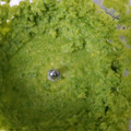 クックBT5DPG☆'s cooksnap of when they made 簡単手作り 柚子こしょう♪♪.
