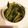 クック84MI7E☆'s cooksnap of when they made 青菜のきな粉和え.