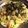 クック8FD1Z5☆'s cooksnap of when they made カルシウムたっぷり！梅じゃこパスタ.