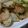 世界の森's cooksnap of when they made 長芋と青じそのかりっとバターソテー.