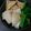 みーみぱんな's cooksnap of when they made かぶと厚揚げの煮物.