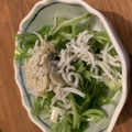 やまとまるきち's cooksnap of when they made 釜揚げしらすと水菜のぽん酢和え.