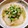 よよっち♪'s cooksnap of when they made 鶏むね肉のゆず胡椒みぞれ煮.