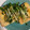 わわわわーい's cooksnap of when they made おつまみ＆おかずに♫油揚げのチーズ焼き.