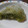 ぷちふーる's cooksnap of when they made バター不使用☆簡単抹茶スコーン＊.