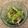 あいちー☻'s cooksnap of when they made モロッコいんげんのツナマヨ和え.