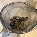 ちっちきっちん's cooksnap of when they made あさりの下処理　砂抜き　塩抜き.