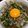 kikunotch's cooksnap of when they made ニラもやし炒め♪簡単ニラもやし丼.