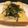 てちみかん's cooksnap of when they made 超簡単！朝食に！しらすのトースト.