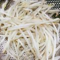 みっくママ's cooksnap of when they made シャキシャキっ！モヤシはこう茹でて♪.